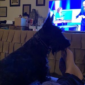 Meet your Posher, Lisa